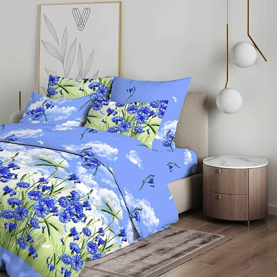 Постельное белье 2-спальное, простыня 200х216 см, 2 наволочки 70х70 см, пододеяльник 175х215 см, Василиса, бязь, Василиса 3422/1