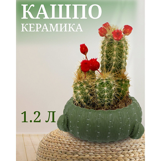 Кашпо керамика, 1.2 л, 16х9х9 см, Кактус, Y4-3079