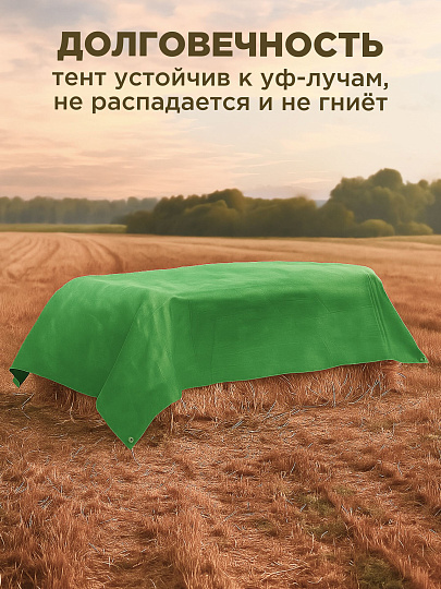 Тент универсальный, 300х300 см, 100 г/м2, TP-100-3-3-GR/SL