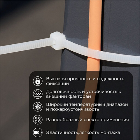 Хомут стяж кабельн, 3.6х250 мм, нейлон, 25 шт, бел, Rexant, 07-0250-25