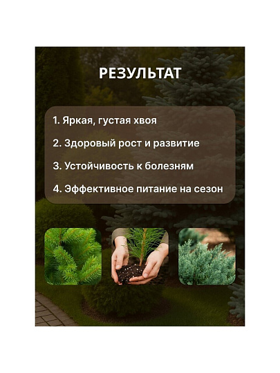 Удобрение для хвойных, с микроэлементами, 2.5 кг, Agros