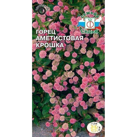 Семена Цветы, Горец, Аметистовая крошка, 0.1 г, цветная упаковка, Седек
