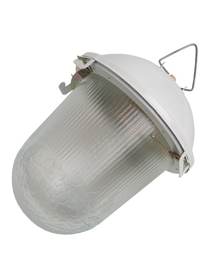 Светильник General Lighting Systems, НСП 02-100-001.01, 100 Вт, E27, на 1 лампочку, IP54, 24.6х24.6х17.2 см, без решетки, 437821