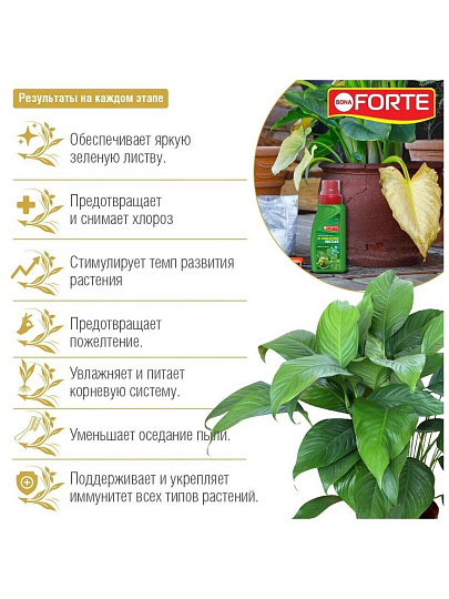 Удобрение 4в1, от пожелтения листьев, минеральное, жидкость, 285 мл, Bona Forte