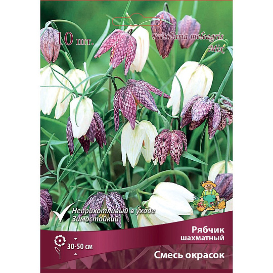 Луковицы Рябчик, Шахматный, смесь окрасок, 6+/К, 10 шт