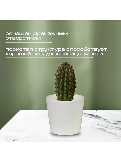 Кашпо керамика, 0.2 л, 8х7 см, конус, Белый, 633604