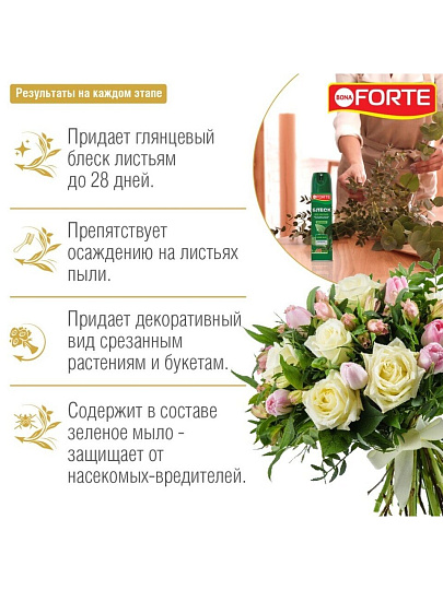 Удобрение Блеск, для листьев, жидкость, 300 мл, Bona Forte