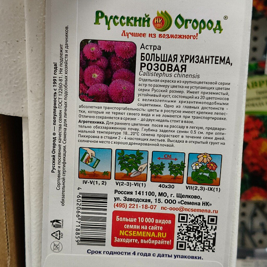 Семена Цветы, Астра, Большая хризантема, цветная упаковка, Русский огород
