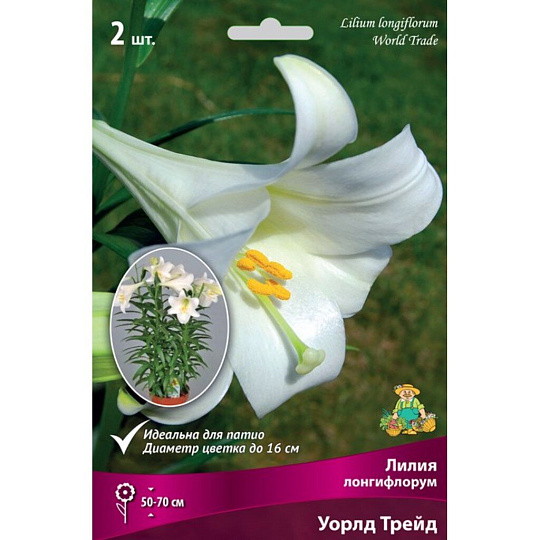 Луковицы Лилия Лонгифлорум, Уорлд Трейд, 14-16/К, 2 шт