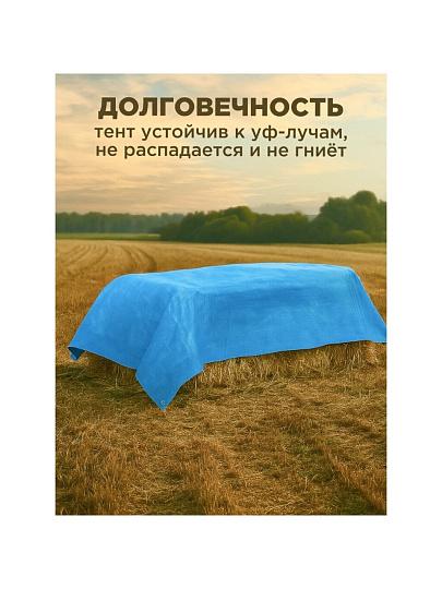 Тент универсальный, 600х400 см, 60 г/м2, люверсы через 1 м, TP-60-4-6-BL