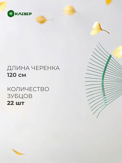 Грабли веерные, 22 зуб, металл, Клевер, усиленные, в ассортименте, черенок деревянный