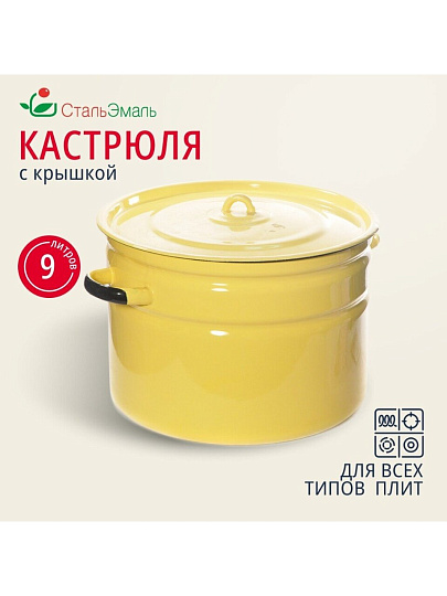 Кастрюля эмалированная сталь, 9 л, крышка сталь, СтальЭмаль, 2с200, в ассортименте, индукция