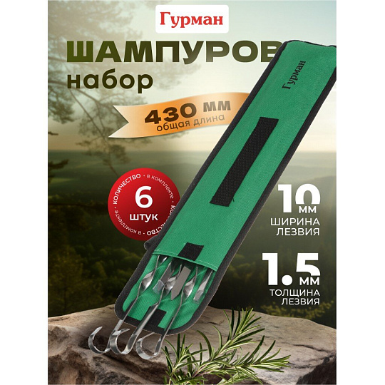 Шампур лезвие плоское, 6 шт, 430х10х1.5 мм, нержавеющая сталь, Гурман, в чехле, CB2234
