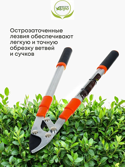 Ножницы садовые для кустарников, 630 мм, Инструм-Агро, НКТО S332A-В, телескопическая штанга, рукоятка алюминий, 010144