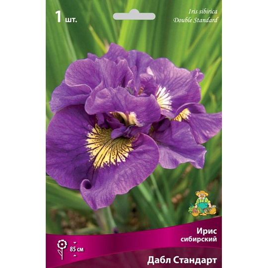 Луковицы Ирис сибирский, Дабл Стандарт
