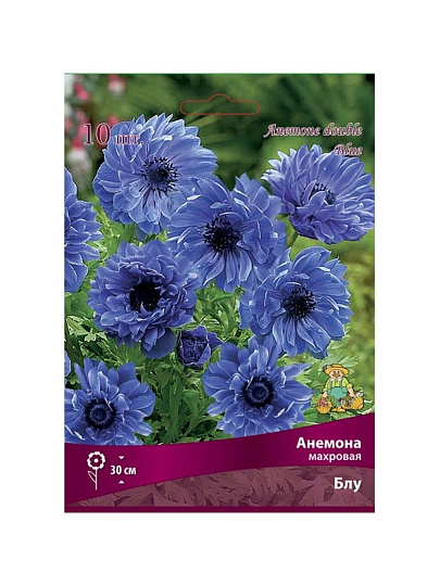 Корневище Анемона махровая, Блум, 10 шт