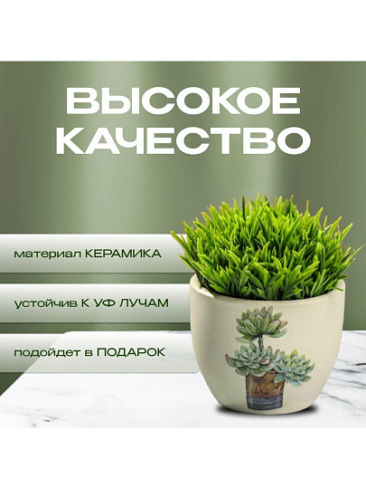 Кашпо керамика, 0.2 л, 6.5х8х6.5 см, в ассортименте, Кактусы, Y3-1295/318493