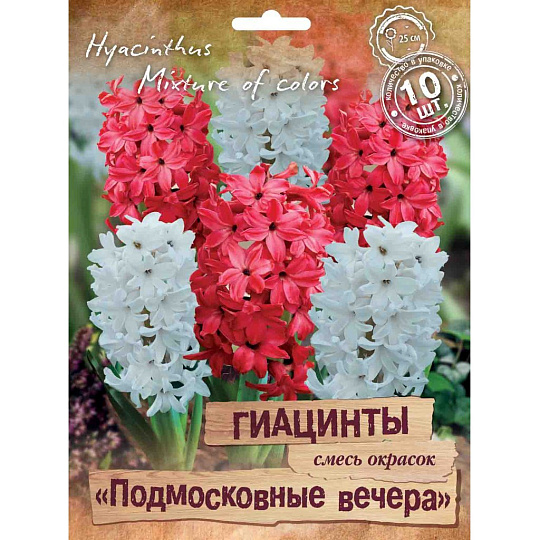 Луковицы Гиацинт, Подмосковные вечера, 14-15/ПрУп, 10 шт