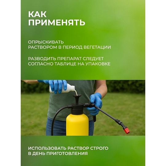 Фунгицид Интрада, защита овощных и полевых культур, 50 мл, жидкость, Avgust