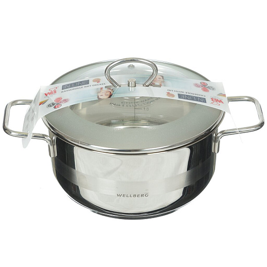 Кастрюля из нержавеющей стали Wellberg 8043WB со стеклянной крышкой и металлическими ручками, 3.1 л