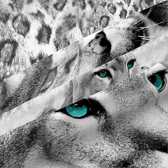 Постельное белье 1.5-спальное, простыня 150х214 см, 2 наволочки 70х70 см, пододеяльник 145х215 см, Василиса, бязь, Пума 4237/1