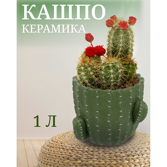 Кашпо керамика, 1 л, 14х12х14 см, Кактус, Y4-3081
