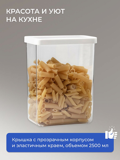 Банка для сыпучих продуктов, пластик, 2.5 л, 10х16х21 см, с крышкой, Idea, Степ, М 1298