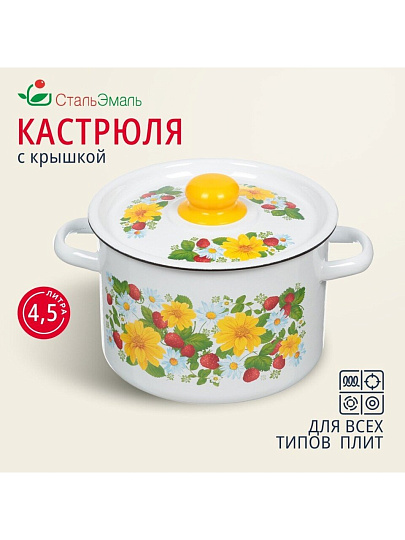 Кастрюля эмалированная сталь, 4.5 л, крышка сталь, СтальЭмаль, 1с17с, в ассортименте, индукция