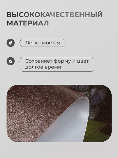 Набор салфеток пластик, 40х28 см, прямоугольный, 4 шт, для стола, Мандарины, Y4-9157
