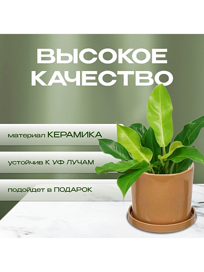 Горшок керамика, 21.5х21 см, для цветов, латте, Лидер №1, 4083