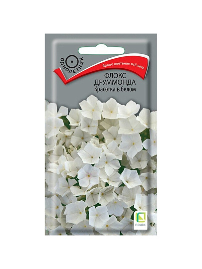 Семена Цветы, Флокс друммонда, Красотка в белом, 0.1 г, цветная упаковка, Поиск