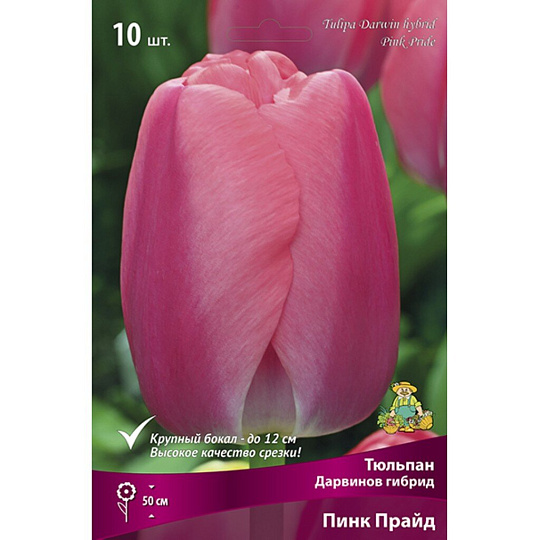 Луковицы Тюльпан Дарвинов гибрид, Пинк Прайд, 11-12/К, 10 шт