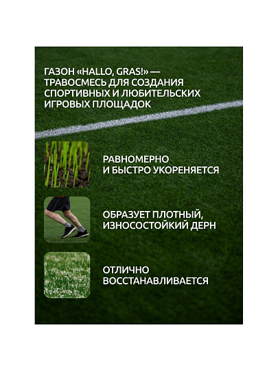 Семена Газон, Sport Meister Gras, 10 кг, мешок, ГазонCity