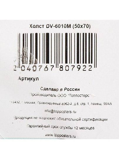 Картина холст, 70х50 см, DV-6010M