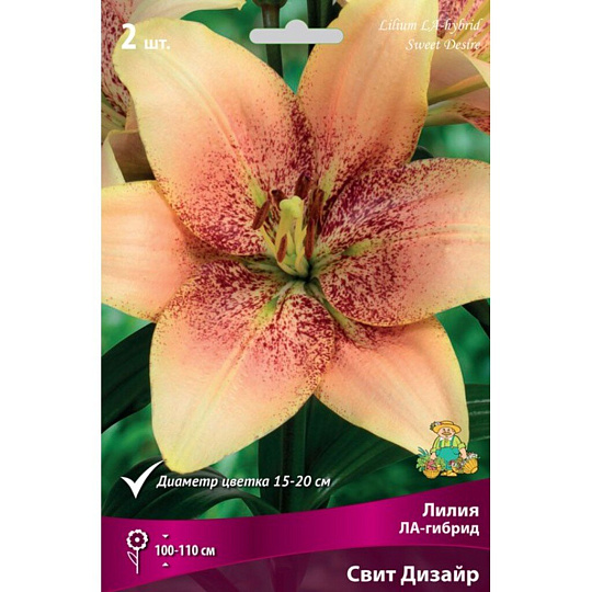 Луковицы Лилия ЛА-Гибрид, Свит Дизайр, 14-16/К, 2 шт