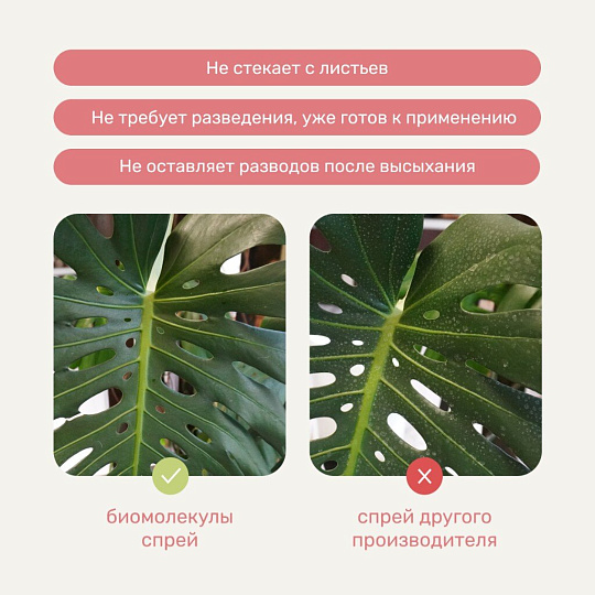 Удобрение Биомолекулы, для комнатных и балконных цветов, спрей, 500 мл, Удобряй