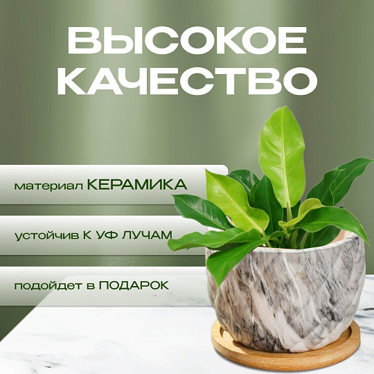 Горшок керамика, 0.2 л, 8.5х8.5х7 см, для кактусов и суккулентов, Мини, Y4-5358