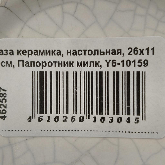 Ваза керамика, настольная, 26х11 см, Папоротник милк, Y6-10159