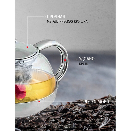Чайник заварочный стекло, нержавеющая сталь, 0.6 л, Menta-600, 910110