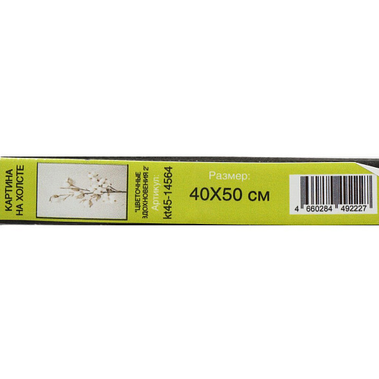 Картина холст, 40х50 см, Цветочные вдохновения 2, kt45-14564