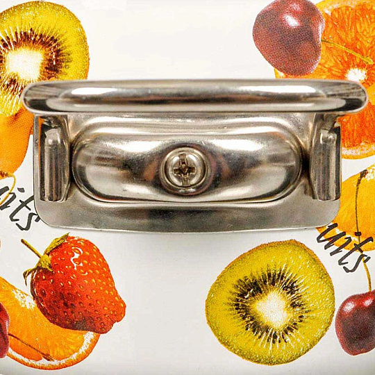 Кастрюля эмалированная сталь, 5 л, крышка сталь, петля, сферический, СтальЭмаль, Fruits, 1SA245S, белая, индукция