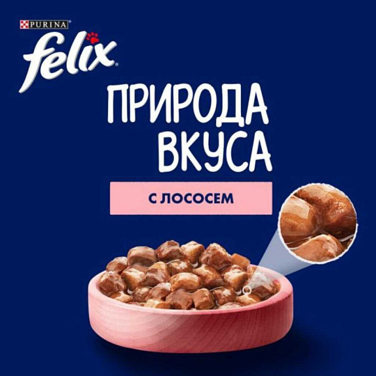 Корм для животных Феликс, Природа вкуса, 75 г, для взрослых кошек, кусочки в соусе, лосось, пауч, 12512724