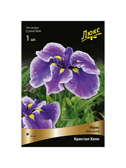 Луковицы Ирис японский, Кристал Хало