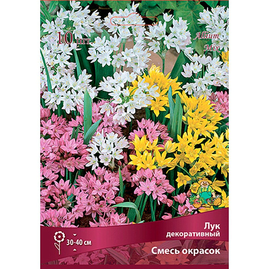 Луковицы Лук декоративный, смесь окрасок, 5-6/К, 10 шт