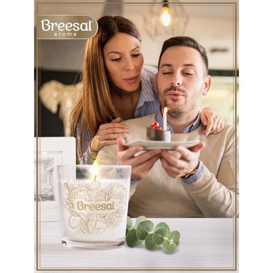 Свеча ароматическая, в стакане, Breesal, Настроение праздника, BSAS0003