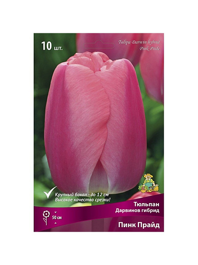 Луковицы Тюльпан Дарвинов гибрид, Пинк Прайд, 11-12/К, 10 шт