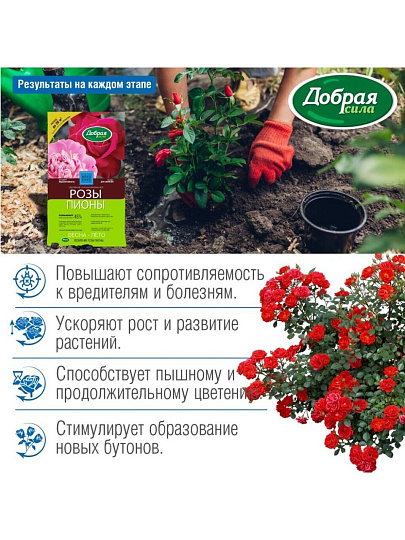 Удобрение для роз и пионов, сухое, минеральное, гранулы, 900 г, Добрая сила