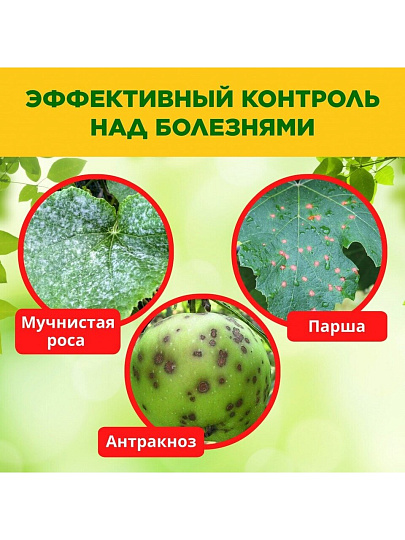 Фунгицид Серное мыло, 350 мл, жидкость, БиоМастер