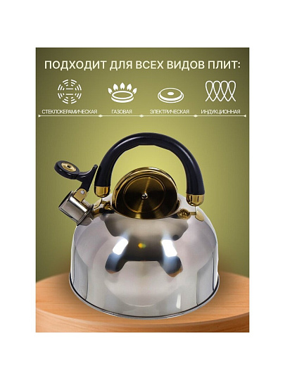 Чайник нержавеющая сталь, 2.7 л, со свистком, зеркальный, ручка бакелитовая, Daniks, M-001