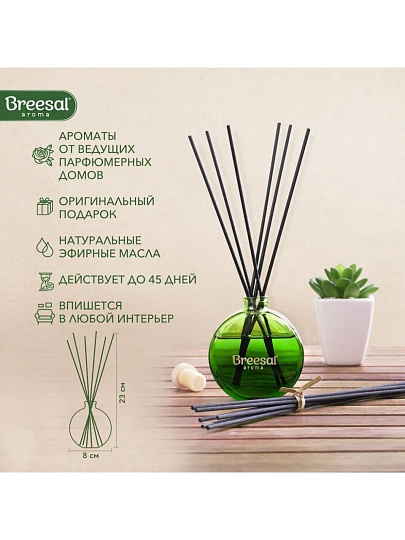Аромадиффузор Breesal, 70 мл, Внутренняя гармония, декоративный, зеленый, ARST/005
